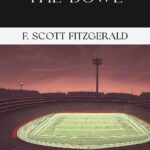 The Bowl by F. Scott Fitzgerald, Book Cover