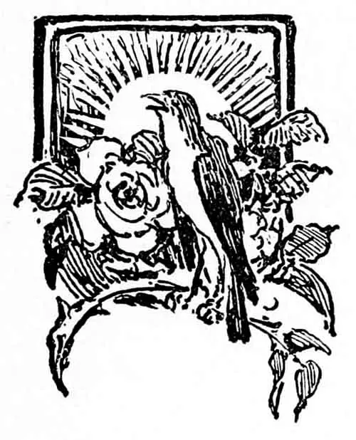 The Nightingale and the Rose illustration by Walter Crane
